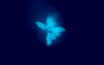 Analisi acqua senza sfera