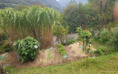 Corso giardinaggio – 27 settembre a Ponto Valentino