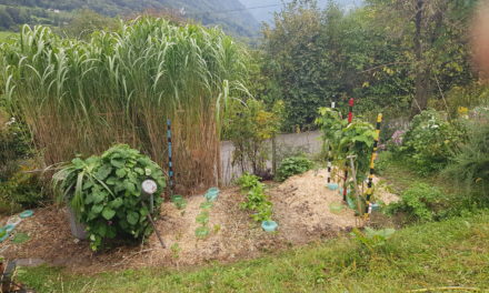 Corso giardinaggio – 27 settembre a Ponto Valentino