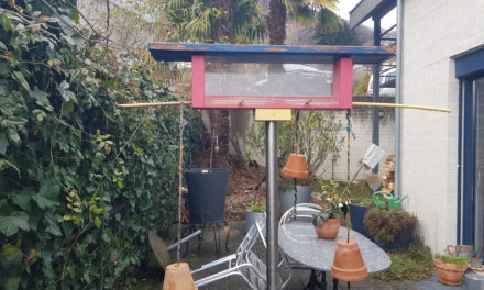 Distributore semi – semini per gli uccelli in giardino