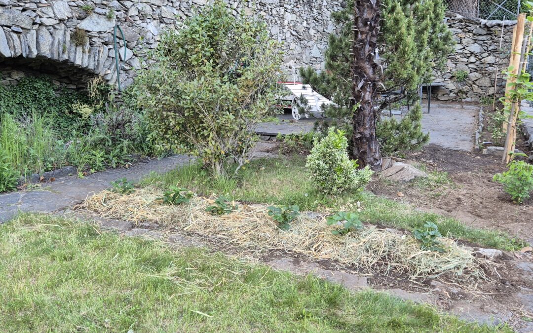 Corso giardinaggio – pacciamatura 7 giugno a Torricella