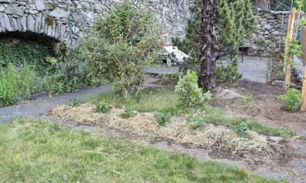 Corso giardinaggio – pacciamatura 7 giugno a Torricella