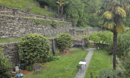 INFO 3 – 2026 Corso giardinaggio – pacciamatura 7 giugno a Torricella