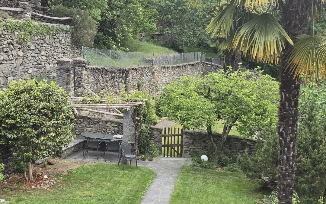 INFO 3 – 2026 Corso giardinaggio in giugno e altro….