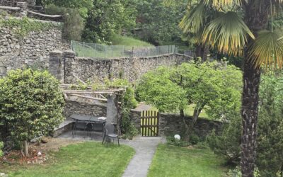 INFO 3 – 2026 Corso giardinaggio in giugno e altro….