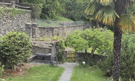 INFO 3 – 2026 Corso giardinaggio in giugno e altro….