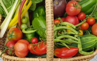 INFO 5 – 2026 Settembre corso di giardinaggio e altro