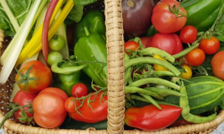 INFO 5 – 2026 Settembre corso di giardinaggio e altro