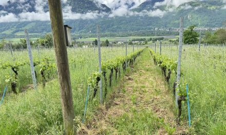 INFO 6 – 2026 Novembre – corso speciale agricoltori e non